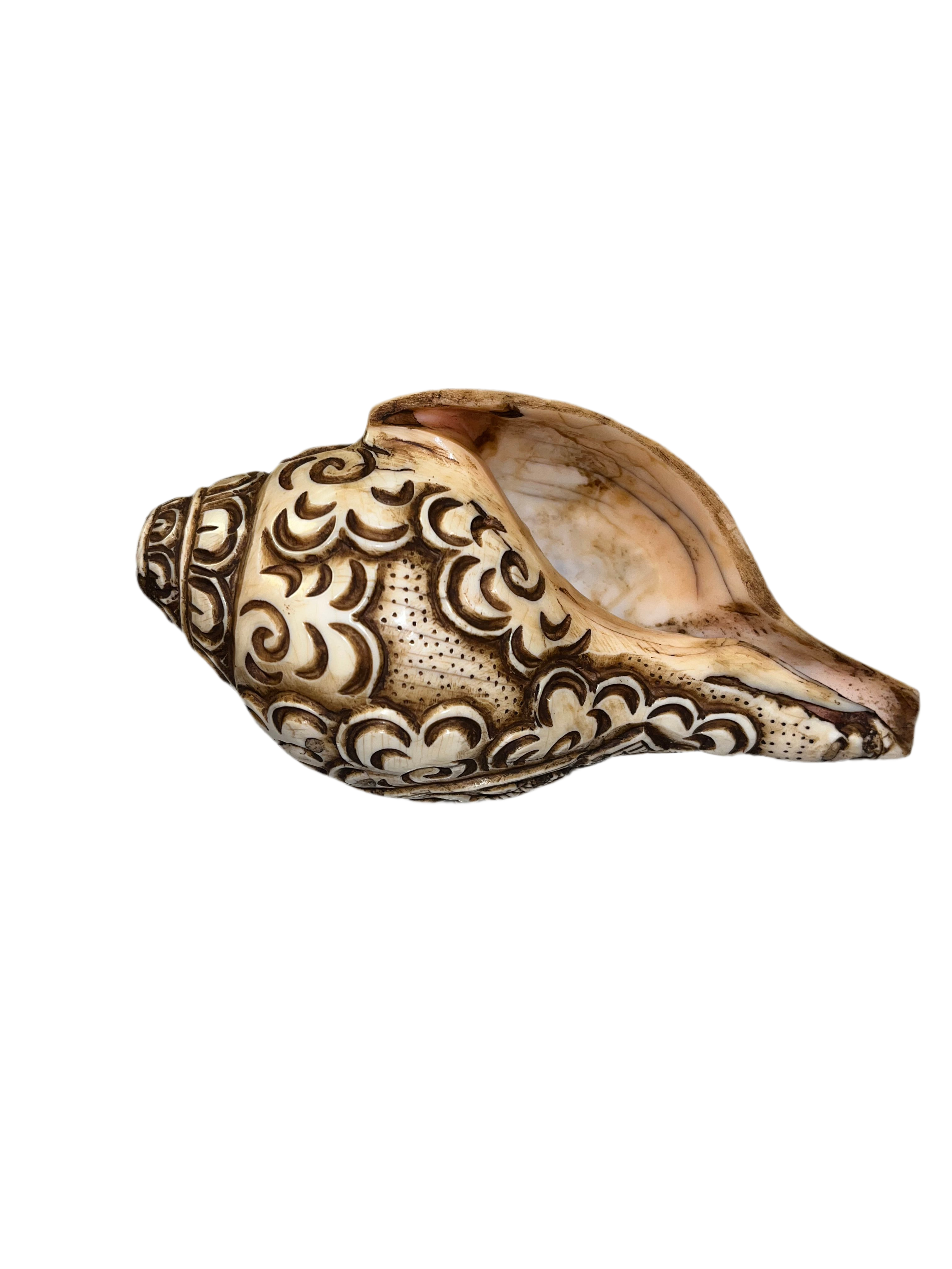 Caracola tibetana