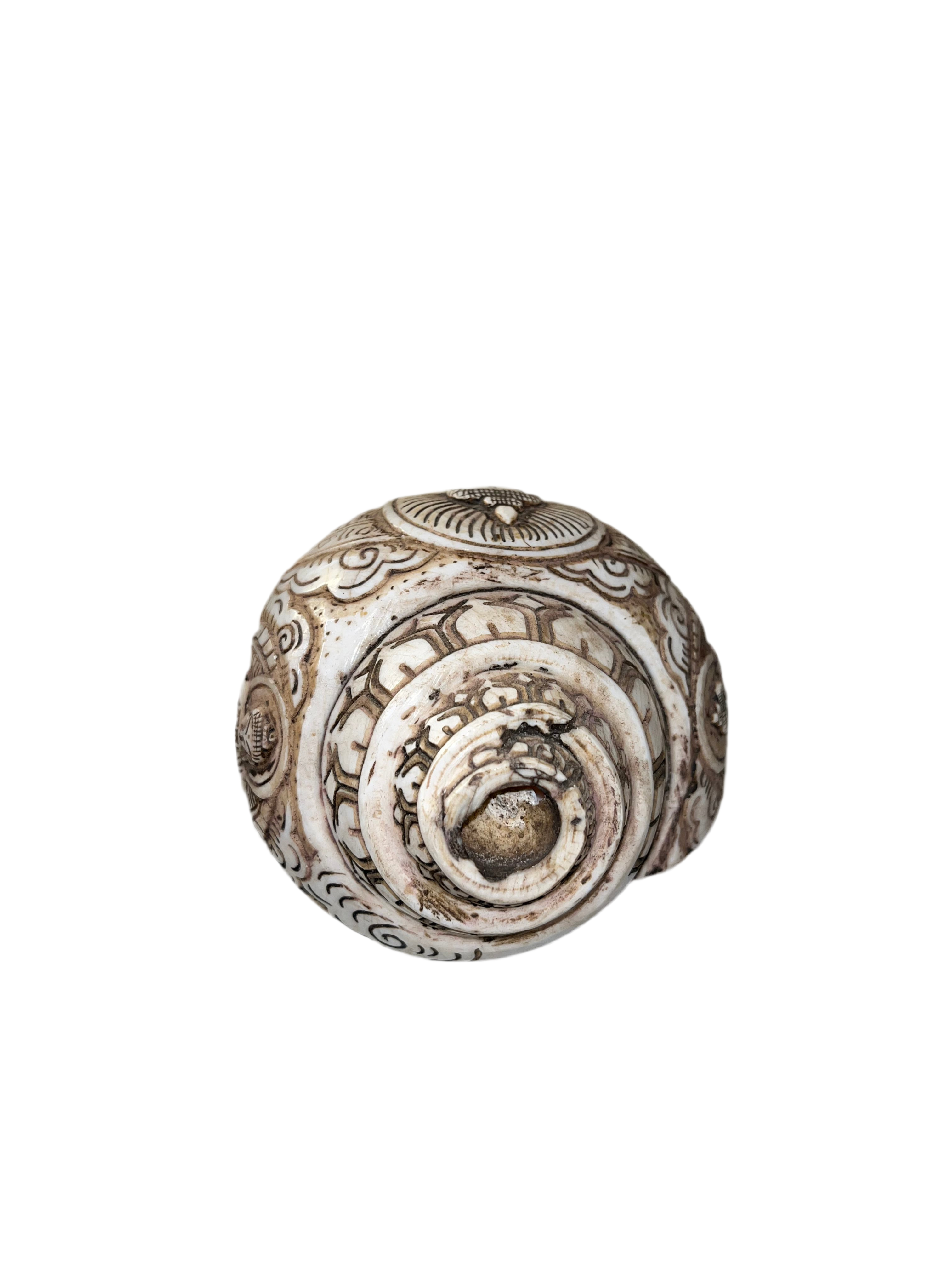 Caracola tibetana(pieza única)